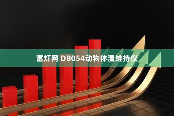 富灯网 DB054动物体温维持仪