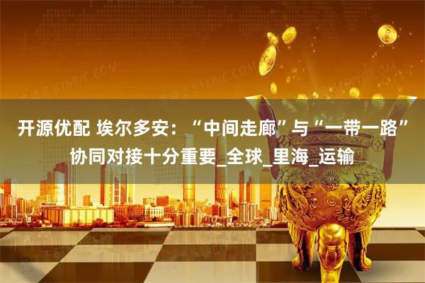 开源优配 埃尔多安：“中间走廊”与“一带一路”协同对接十分重要_全球_里海_运输