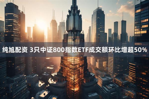 纯旭配资 3只中证800指数ETF成交额环比增超50%